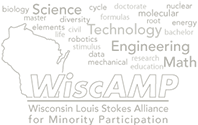 Wiscamp logo